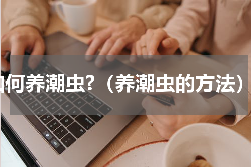 如何养潮虫?（养潮虫的方法）