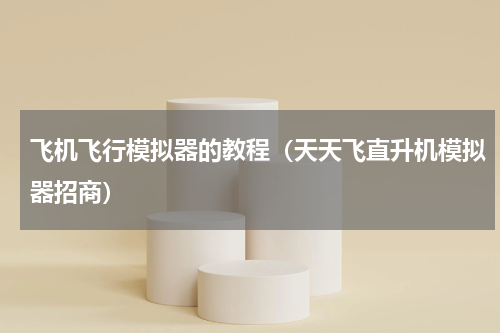 飞机飞行模拟器的教程（天天飞直升机模拟器招商）