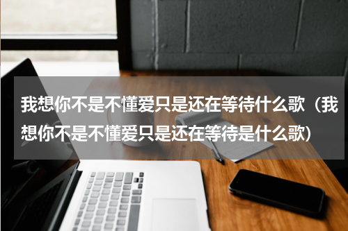 我想你不是不懂爱只是还在等待什么歌（我想你不是不懂爱只是还在等待是什么歌）