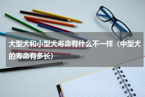 大型犬和小型犬寿命有什么不一样（中型犬的寿命有多长）