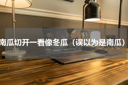 南瓜切开一看像冬瓜（误以为是南瓜）