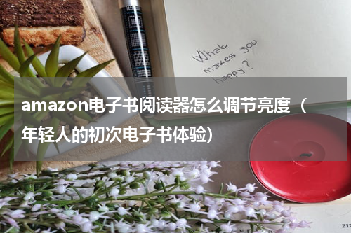 amazon电子书阅读器怎么调节亮度（年轻人的初次电子书体验）