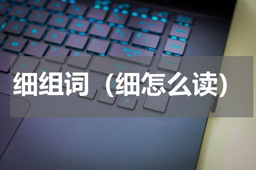 细组词（细怎么读）