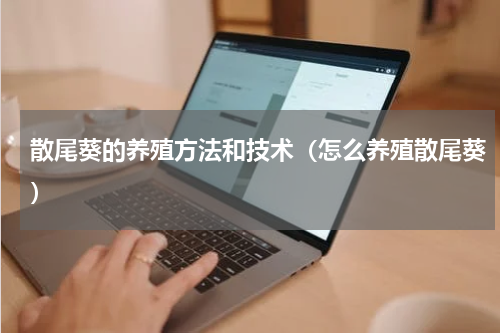 散尾葵的养殖方法和技术（怎么养殖散尾葵）