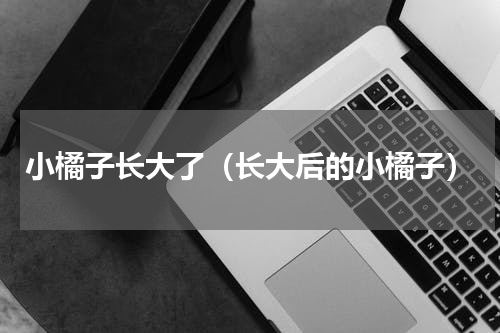 小橘子长大了（长大后的小橘子）