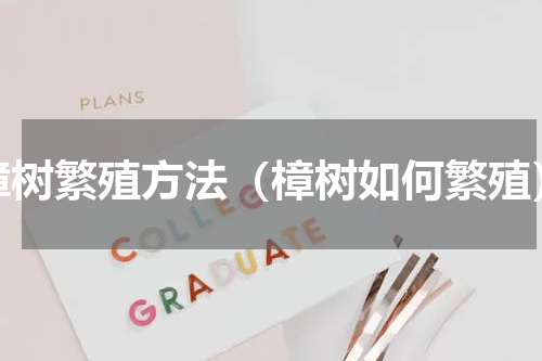 樟树繁殖方法（樟树如何繁殖）