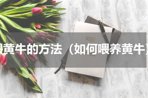 喂黄牛的方法（如何喂养黄牛）
