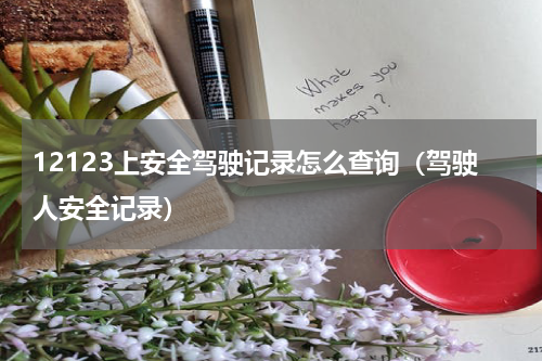 12123上安全驾驶记录怎么查询（驾驶人安全记录）