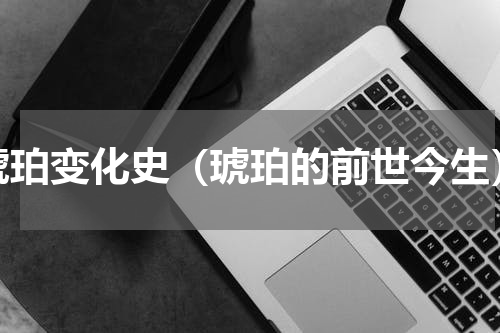 琥珀变化史（琥珀的前世今生）