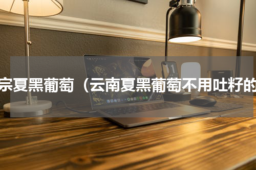 正宗夏黑葡萄（云南夏黑葡萄不用吐籽的）