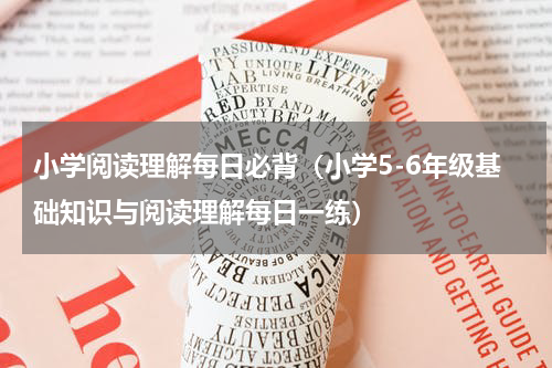 小学阅读理解每日必背（小学5-6年级基础知识与阅读理解每日一练）