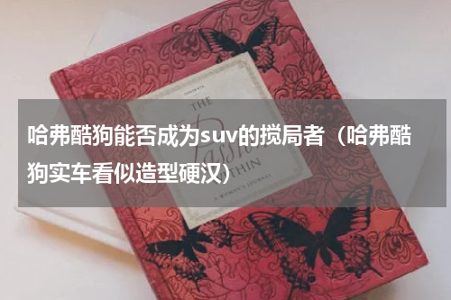 哈弗酷狗能否成为suv的搅局者（哈弗酷狗实车看似造型硬汉）