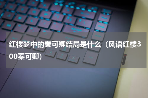 红楼梦中的秦可卿结局是什么（风语红楼300秦可卿）