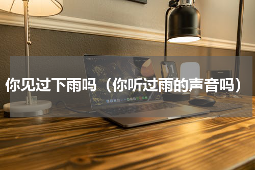 你见过下雨吗（你听过雨的声音吗）