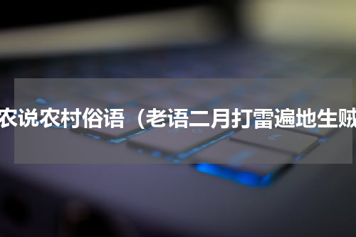 老农说农村俗语（老语二月打雷遍地生贼）