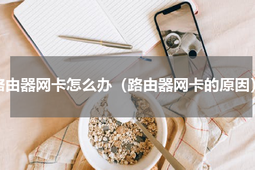 路由器网卡怎么办（路由器网卡的原因）