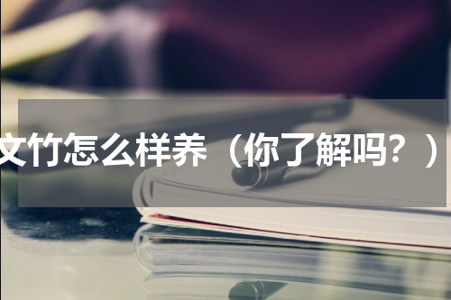 文竹怎么样养（你了解吗？）
