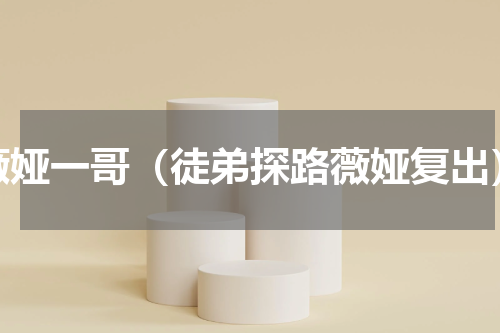 薇娅一哥（徒弟探路薇娅复出）