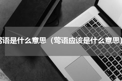 莺语是什么意思（莺语应该是什么意思）