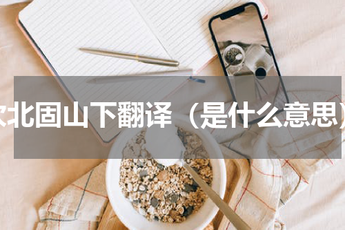 次北固山下翻译（是什么意思）