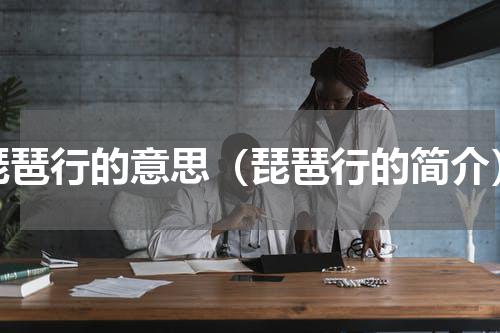琵琶行的意思（琵琶行的简介）