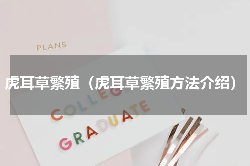 虎耳草繁殖（虎耳草繁殖方法介绍）