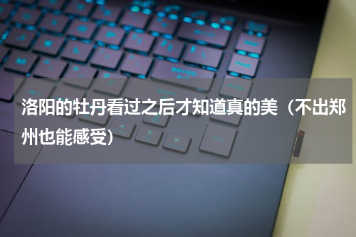洛阳的牡丹看过之后才知道真的美（不出郑州也能感受）