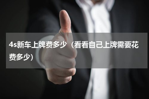 4s新车上牌费多少（看看自己上牌需要花费多少）