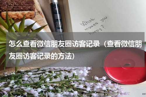 怎么查看微信朋友圈访客记录（查看微信朋友圈访客记录的方法）