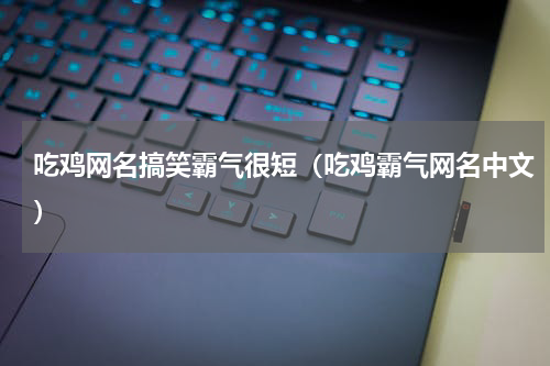 吃鸡网名搞笑霸气很短（吃鸡霸气网名中文）