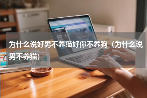 为什么说好男不养猫好你不养狗（为什么说男不养猫）