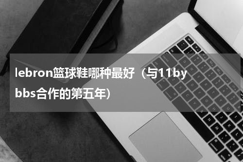 lebron篮球鞋哪种最好（与11bybbs合作的第五年）