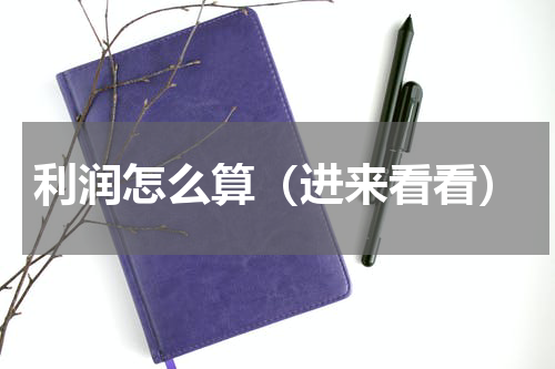 利润怎么算（进来看看）