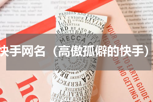 快手网名（高傲孤僻的快手）