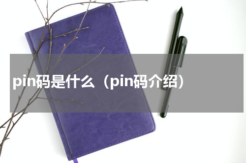 pin码是什么（pin码介绍）
