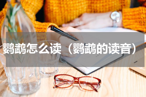 鹦鹉怎么读（鹦鹉的读音）