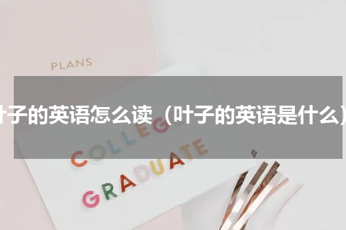 叶子的英语怎么读（叶子的英语是什么）