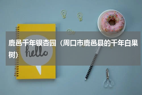 鹿邑千年银杏园（周口市鹿邑县的千年白果树）