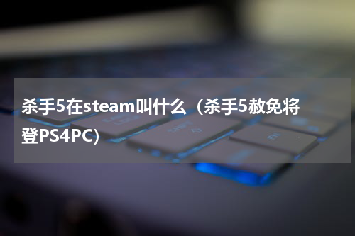 杀手5在steam叫什么（杀手5赦免将登PS4PC）