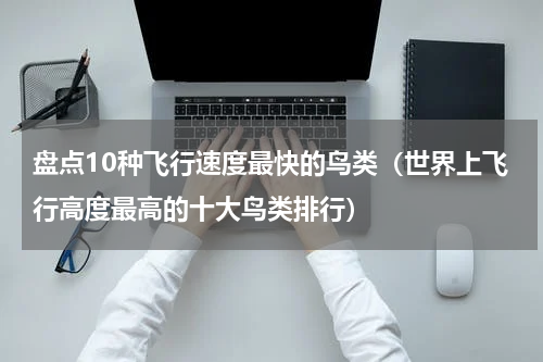 盘点10种飞行速度最快的鸟类（世界上飞行高度最高的十大鸟类排行）