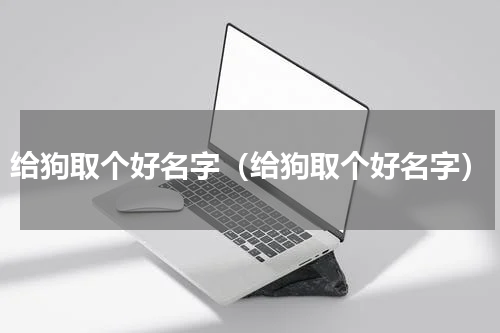 给狗取个好名字（给狗取个好名字）