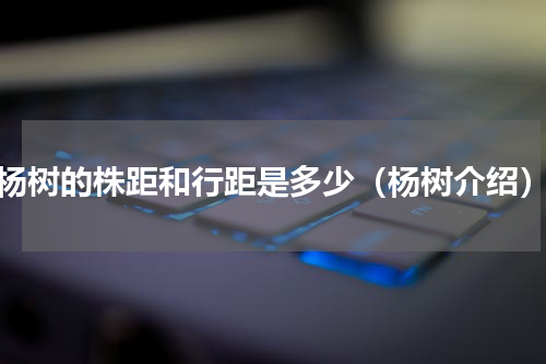 杨树的株距和行距是多少（杨树介绍）