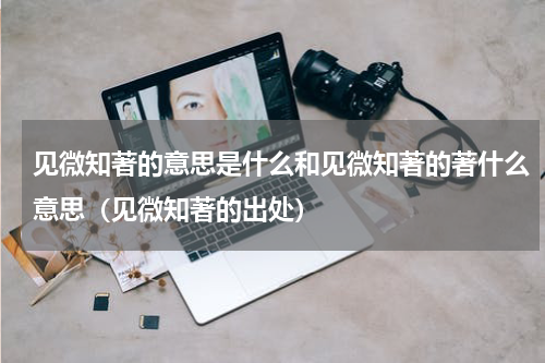 见微知著的意思是什么和见微知著的著什么意思（见微知著的出处）