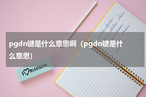 pgdn键是什么意思啊（pgdn键是什么意思）