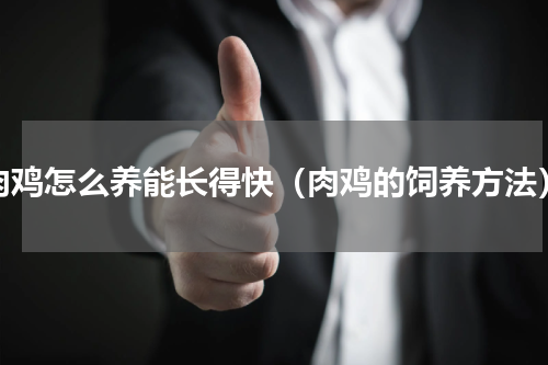 肉鸡怎么养能长得快（肉鸡的饲养方法）