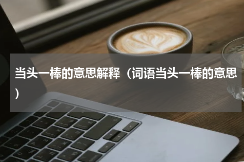 当头一棒的意思解释（词语当头一棒的意思）