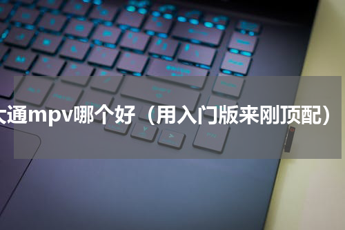 大通mpv哪个好（用入门版来刚顶配）