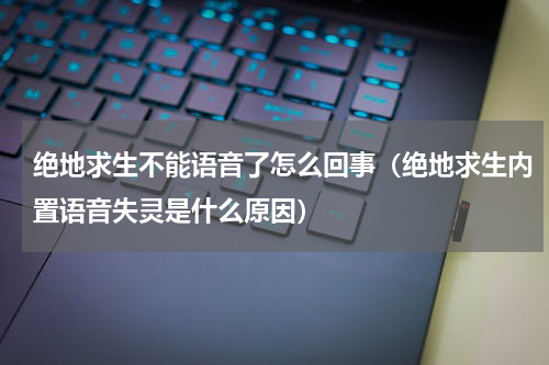 绝地求生不能语音了怎么回事（绝地求生内置语音失灵是什么原因）