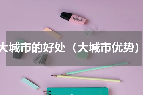 大城市的好处（大城市优势）
