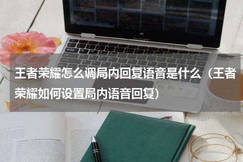 王者荣耀怎么调局内回复语音是什么（王者荣耀如何设置局内语音回复）